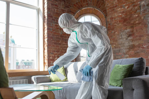 Why You Should Choose Our Mold Remediation Services in Barling, AR